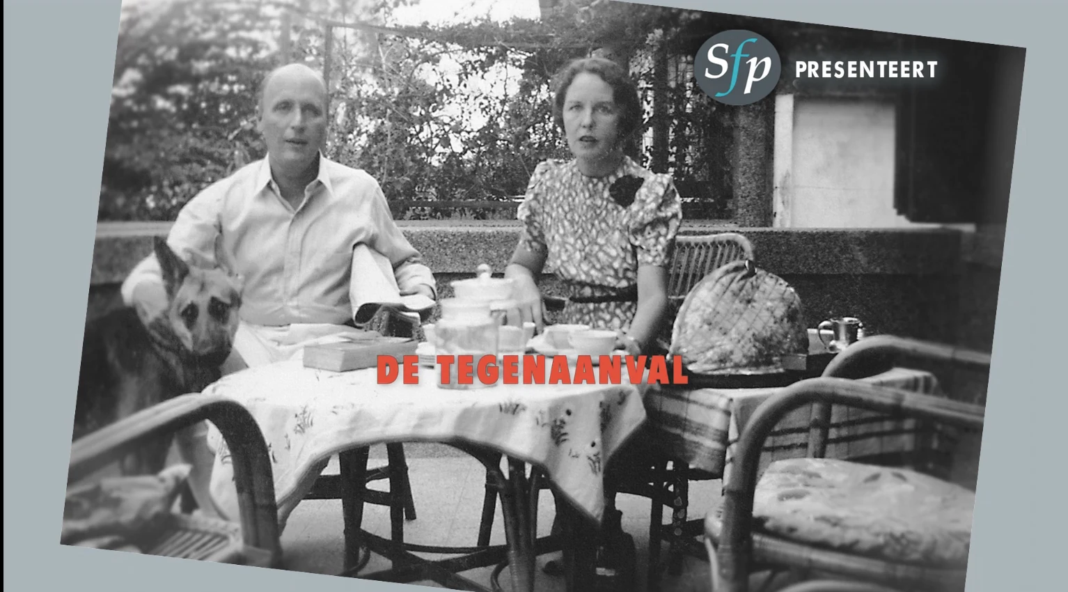 De Tegenaanval